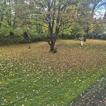 Lägenhet Schwarzwald Loft 1